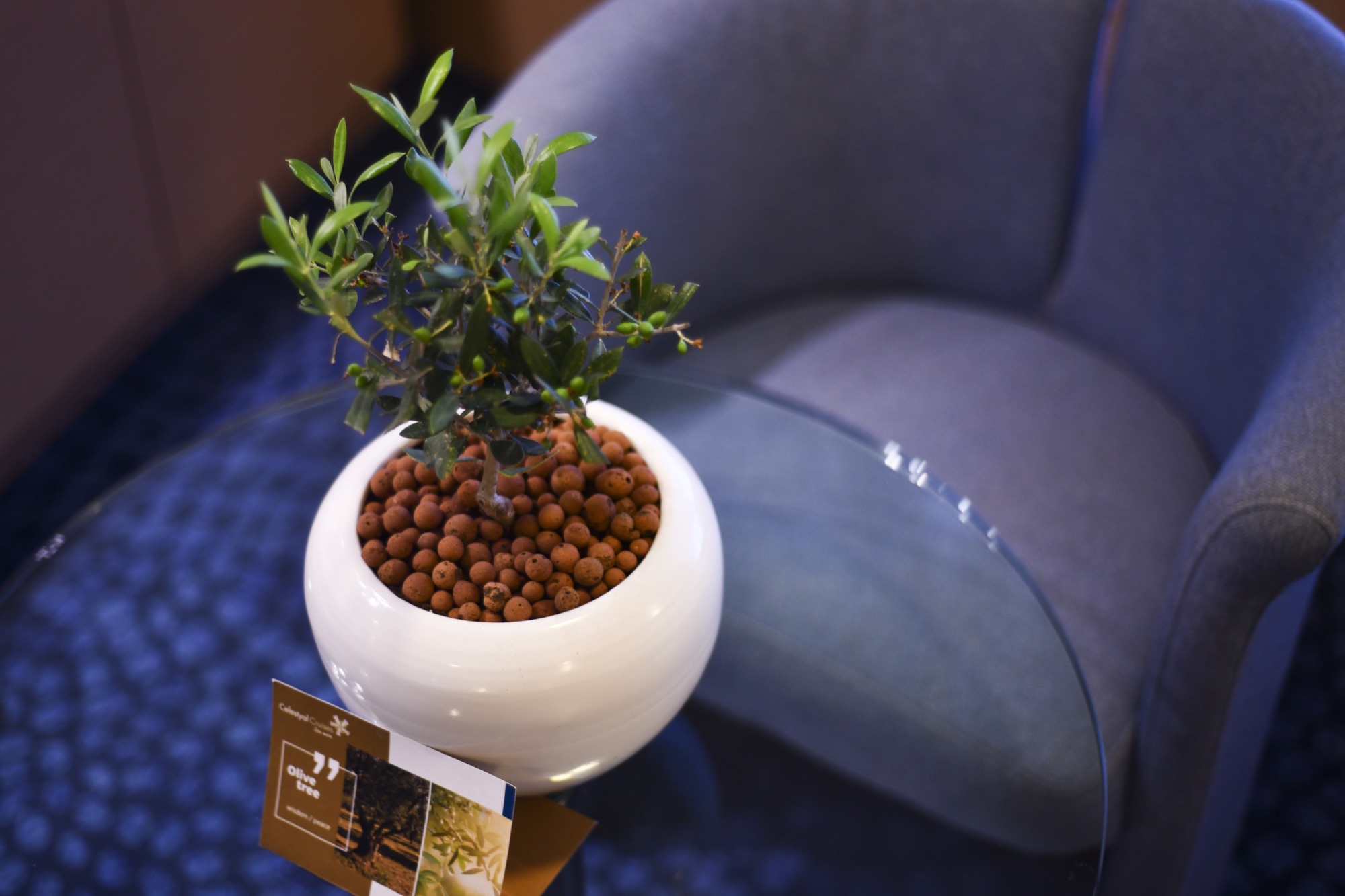 Celestyal Olympia Accommodation Grand Suite SG 8.jpg